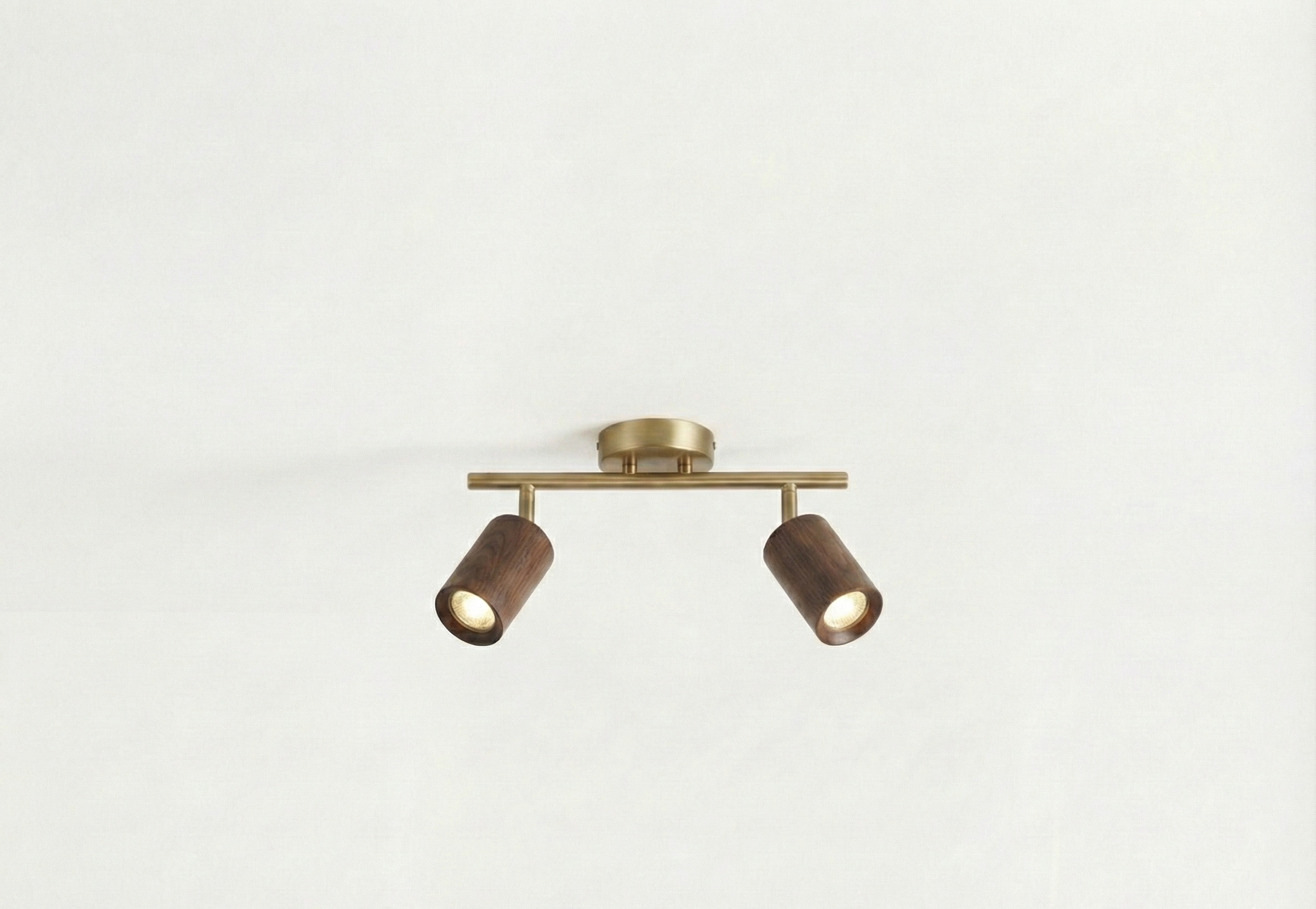 The Silva™ – Walnut & Brass Directional Spotlight